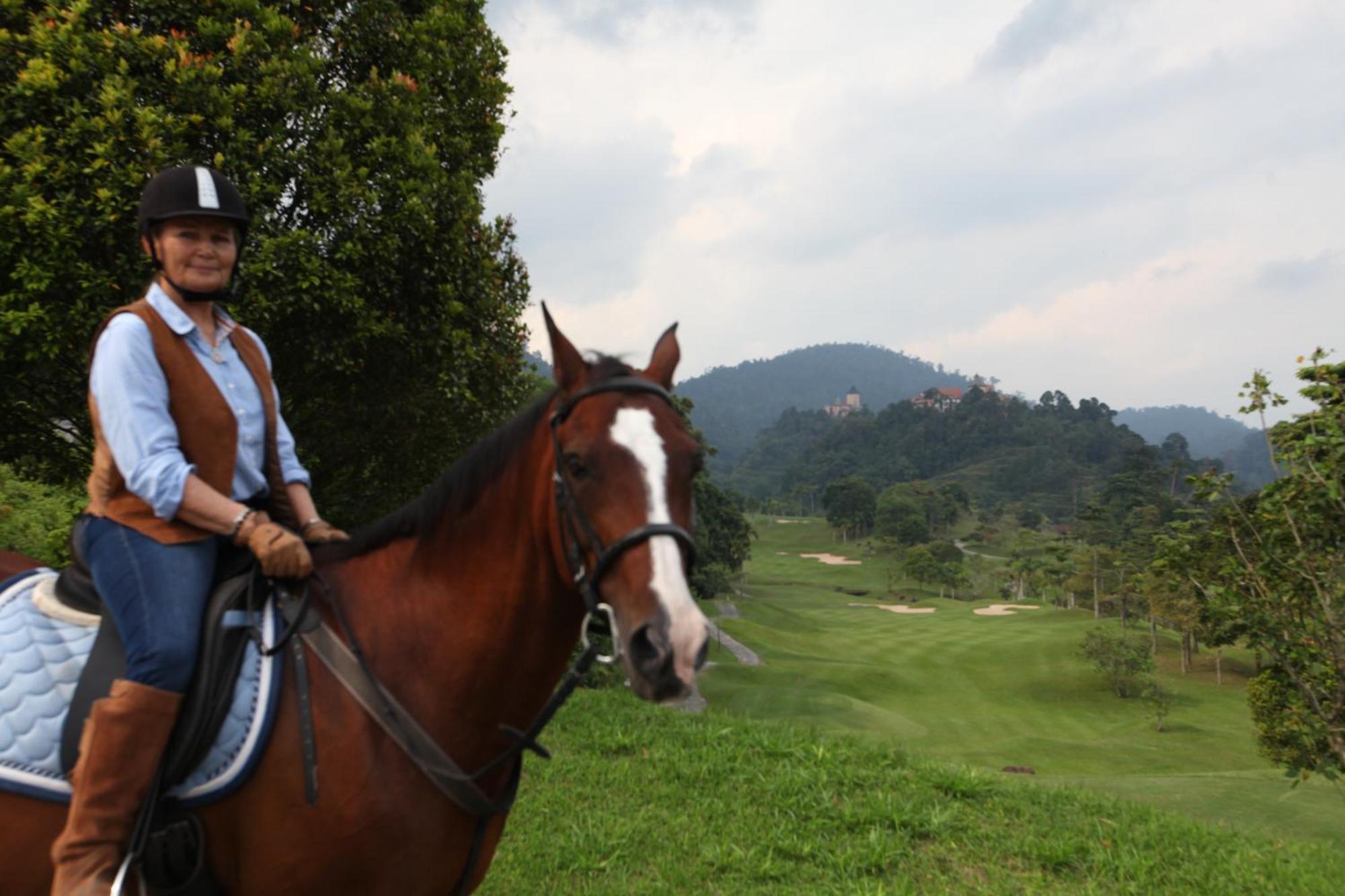 The Chateau Spa & Wellness Resort Bukit Tinggi Kültér fotó A horse at the farm